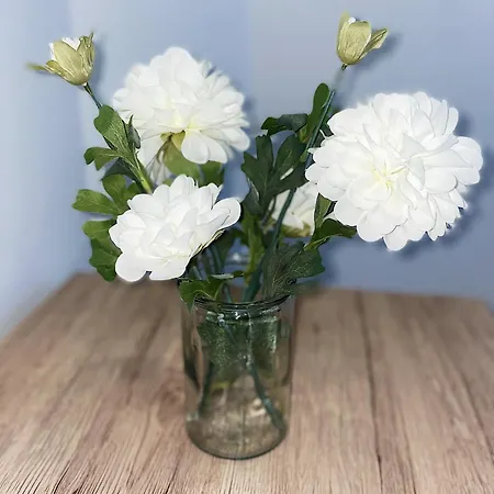 Cosy Angevin - Joli Petit 公寓