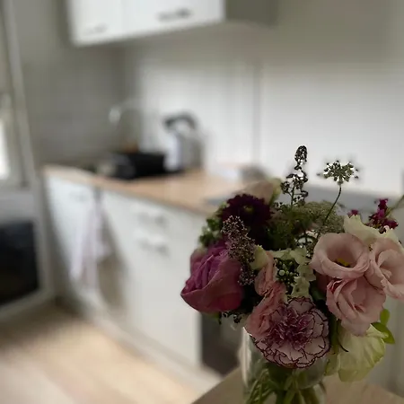 Cosy Angevin - Joli Petit * Angers