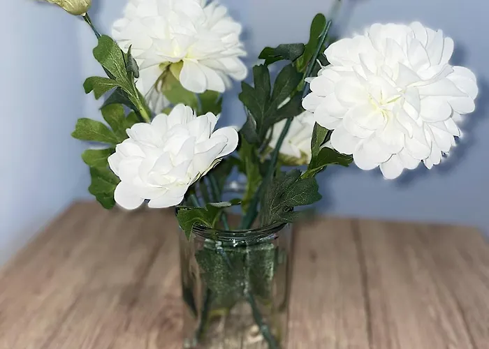 Cosy Angevin - Joli Petit Appartamento