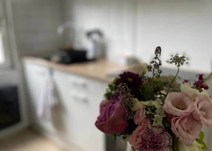 Cosy Angevin - Joli Petit * Angers