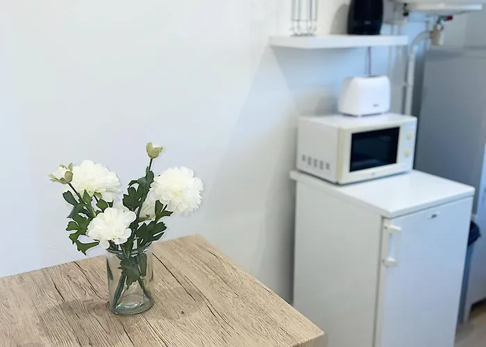 Cosy Angevin - Joli Petit Apartamento Angers